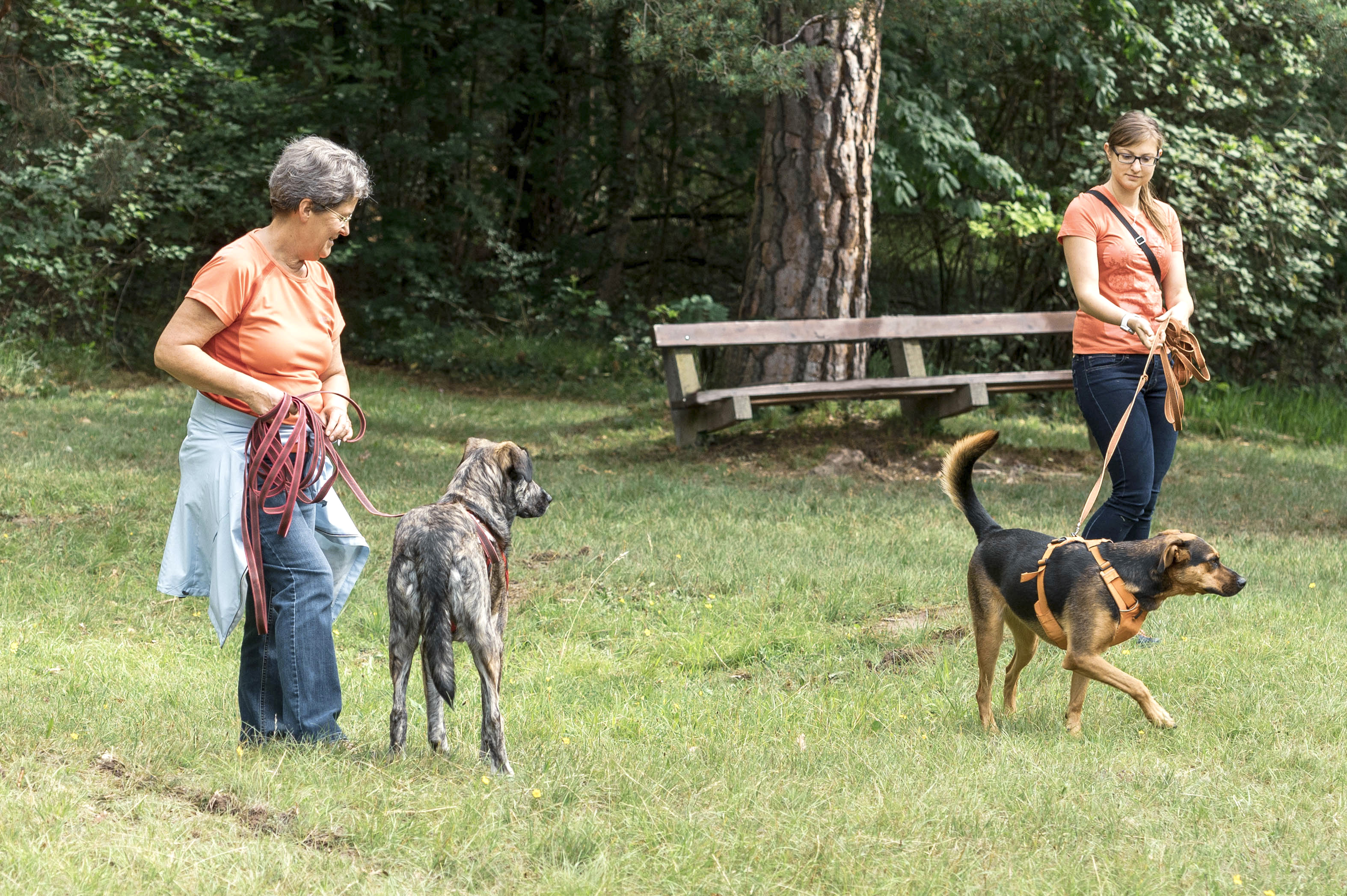 Socialwalk